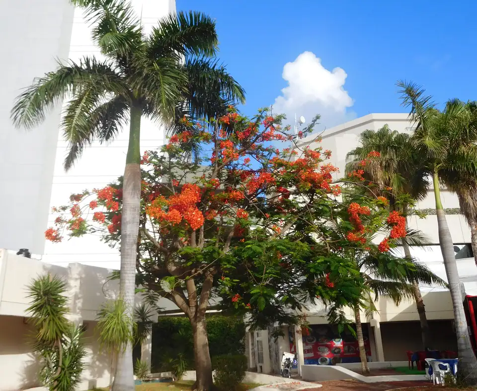 Hotel Riu Palace Las Americas entrance and facade in June 2016